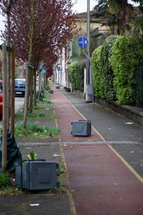 Veter povzroča težave v Gorici in okolici (FOTO)