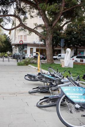 Veter povzroča težave v Gorici in okolici (FOTO)