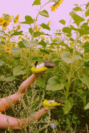 Letos o prepletenosti družbe s tehnologijo