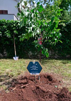 Ob svetovnem dnevu čebel