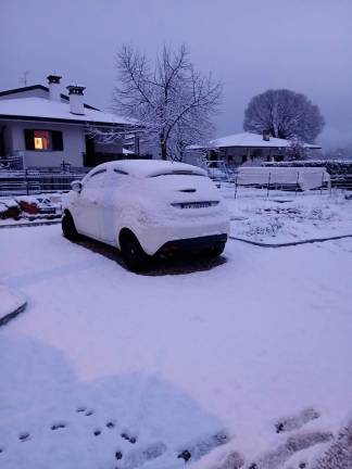 Sneg danes pobelil tudi Goriško (foto)