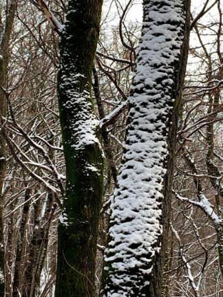 Zimska pokrajina nad Gročano