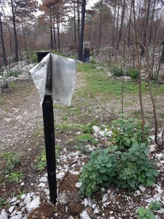 Požar prizadel tudi zgodovinsko pot