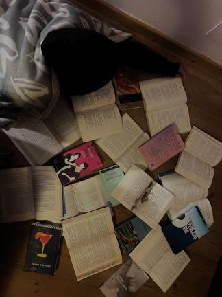 Iztočnica je bil Kosovelov Majhen plašč