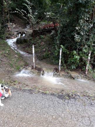 Voda drla tudi po cesti