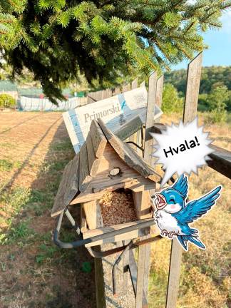 Počtnice v rojstnem kraju <i>(Majda Pečar)</i>