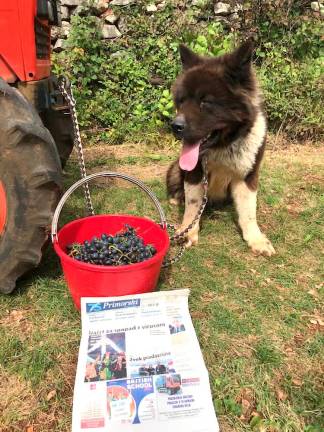 Fotoutrip ‘20 - september