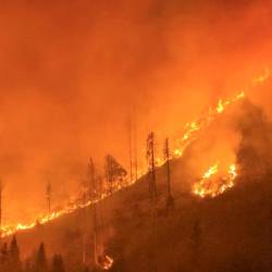 Požar na avstrijskem Koroškem (FACEBOOK/MATTHIAS WARMUTH)