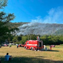 Požar v Brestovici pri Komnu julija letos (OBALNO-KRAŠKA GASILSKA REGIJA)