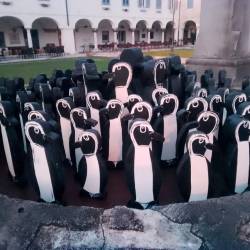 Tržaški Banksy s pingvini v Gorici