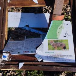 Razbita tabla v parku (LEGAMBIENTE)