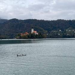 Bled je med tujimi turisti zelo priljubljen (VONCI)