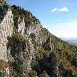 Napoleonska cesta