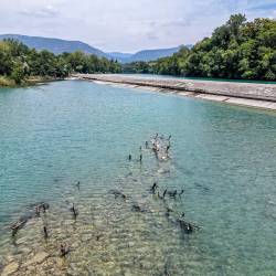 Soča pri Podgori (ARHIV)