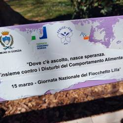 Poškodovana lila klop v goriškem Ljudskem vrtu (OBČINA GORICA)