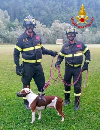 Našli pogrešanega ameriškega vojaka, kasneje še njegovega psa