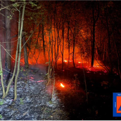 Požar med Štivanom in Tržičem