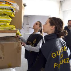 Finančni policistki med preiskavo (FINANČNA POLICIJA)