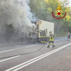 Ogenj je zajel zadnji del vozila in se razširil nad rastje ob cesti