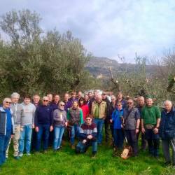 Tečajniki in njihova učitelja med oljčnima očakoma med posegom v njuno častitljivo krošnjo (FOTO RIS)