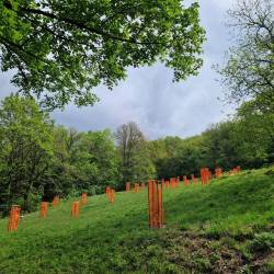 Kostanjevi nasadi (ARC)