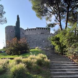 Goriški grad (P.C.)