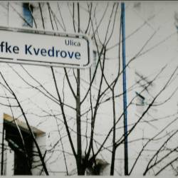 Ulica, poimenovana po pisateljici Zofki Kveder