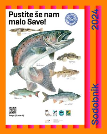 Podelili prve nagrade Mestna 5ka za najboljše mestne plakate