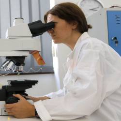 Ekipo znanstvenikov so vodili raziskovalci tržaškega Burla (fotografija je simbolična)