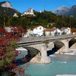 Možnica (WIKIPEDIA)