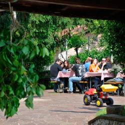 Šopek bršljanovih vej je, ob seznamu odprtih osmic v Primorskem dnevniku, najbolj tradicionalna »reklama« za vinotoče (ARHIV)