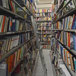 Nacionalni dan knjige obeležujemo 5. marca, na dan rojstva dr. Mance Košir, vsestranske ustvarjalke, humanistke in ambasadorke branja