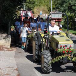 Vaška trgatev na Valerišču (TIBALDI)