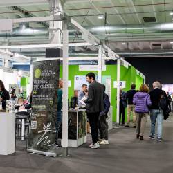 V Trstu od danes do vključno nedelje poteka sejem Olio Capitale (LUCA TEDESCHI/FOTODAMJ@N)