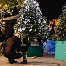 Praznično okrašena Nova Gorica (MESTNA OBČINA NOVA GORICA)