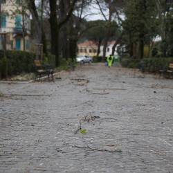 Veter povzroča težave v Gorici in okolici (FOTO)