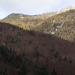 Trbiški gozd je s svojimi 24.000 hektarji največji gozd v Italiji, s katerim neposredno upravlja država