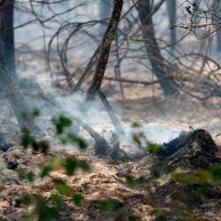 V jugozahodni Franciji so zaradi požarov evakuirali 140.000 ljudi (ANSA)