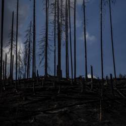 Požar, ki pustoši v narodnem parku na vzhodu Nemčije, se je začel na Češkem (ANSA)