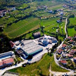 Vinska klet Vipava 1894 (RADIO ROBIN)
