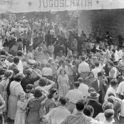 (EDVIGIO &amp; ARDUINO ALTRAN/MESTNA OBČINA NOVA GORICA)