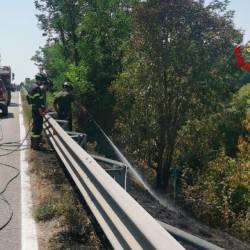 Gašenje požara ob državni cesti št. 14 v Pierisu (GASILCI)
