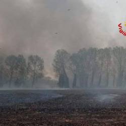 Silovit požar v Fiumicellu, na delu več gasilskih ekip in helikopterja