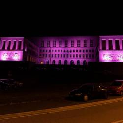 Tudi univerzitetna palača se bo odela v rožnato barvo (FOTODAMJ@N)