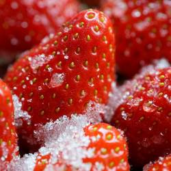 Fotografija je simbolična (PIXABAY)