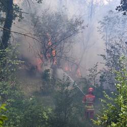 Zublji so med Repnom in Colom uničili približno šest hektarjev gmajne in kraškega rastja