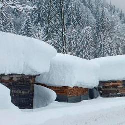 Nekdanje obilno sneženje v Karniji (ANSA)