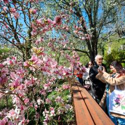 Vrt je mogoče obiskati izključno v okviru vodenih ogledov (TIBALDI)
