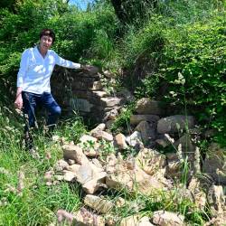 Fabiana Scheriani z istoimenske kmetije ob škodi, ki so jo pozimi povzročili divji prašiči med Lazaretom in Čamporami (FOTODAMJ@N)