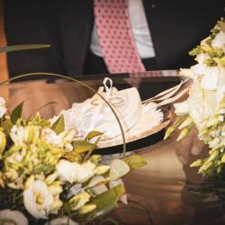 Poroka v Beli dvorani na občini (TIBALDI)